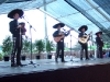 MariachiMestizo4.jpg