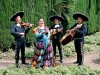 MariachiMestizo13.jpg